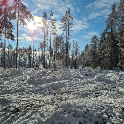 ein Schneefoto