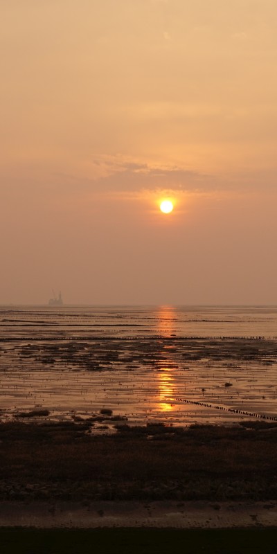 ein Sonnenfoto